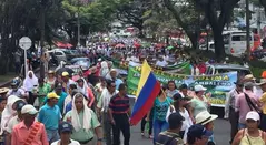 Paro arrocero