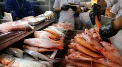 Pescado de jueves Santo