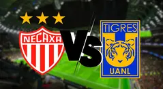 Así podrá ver en vivo el partido entre Necaxa vs Tigres en los cuartos de final de la Liga MX. 