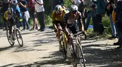 Wout Van Aert, ganador etapa 9 del Giro de Italia