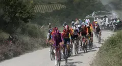 Etapa 9 del Giro de Italia