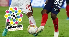 Dimayor