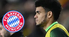 Luis Díaz, futbolista colombiano