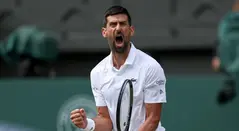 Novak Djokovic, tenista serbio