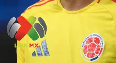 Figura de la Selección Colombia tiene nuevo club en la Liga MX 