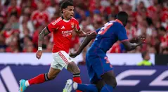 Richard Ríos brilla en Benfica: así le fue en la Champions ante Niza
