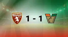 Torino vs Venezia