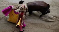 TOROS PLAZA SANTA MARIA CORRIDAS GENTE TAUROMAQUIA RUEDO