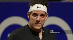 Juan Martín del Potro