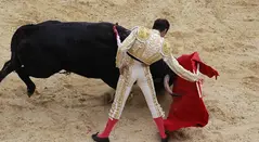 El maestro Enrique Ponce