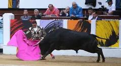 Toros RCN