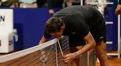 Juan Martín del Potro
