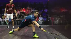 Miguel Ángel Rodríguez, squashista colombiano.