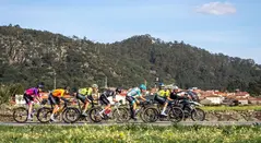 O Gran Camiño 2025 Etapa 4