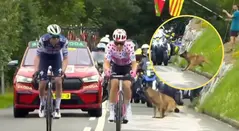 Perro se atravesó en la carretera en la etapa 2 del Tour de Francia