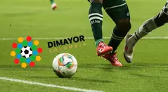 Nuevo presidente de Dimayor