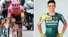 Tour de los Alpes 2024