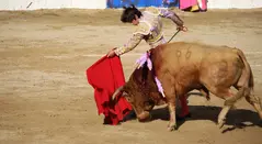 Sebastián Castella