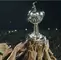 Trofeo de la Copa Libertadores 