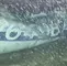 Restos de la avioneta que ocupaba Emiliano Sala