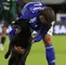 Millonarios vs Cali - Perro - Campín