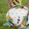 Balón de la Liga Betplay