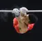 China recupera el trono de la gimnasia masculina