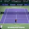 Wozniacki vs Pliskova 
