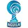 Copa Águila